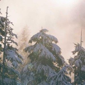 Meet your Posher, Travis